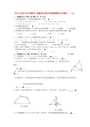 2019-2020年中考數(shù)學(xué) 函數(shù)重點(diǎn)難點(diǎn)突破解題技巧傳播十一（A）.doc