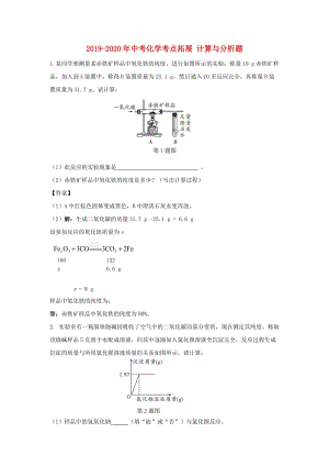 2019-2020年中考化學(xué)考點(diǎn)拓展 計(jì)算與分析題.doc