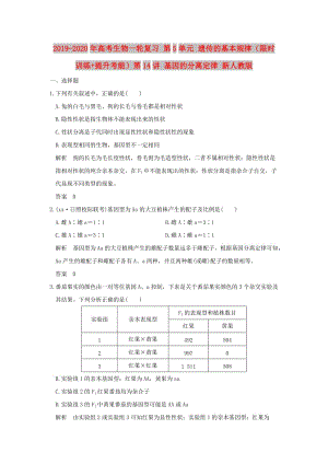 2019-2020年高考生物一輪復(fù)習(xí) 第5單元 遺傳的基本規(guī)律（限時(shí)訓(xùn)練+提升考能）第14講 基因的分離定律 新人教版.doc