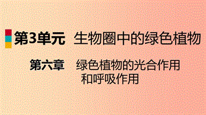 2019年七年級(jí)生物上冊(cè) 第三單元 第六章 第一節(jié) 植物光合作用的發(fā)現(xiàn)課件（新版）蘇教版.ppt