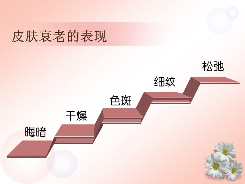 BB活细胞护肤素.ppt_第2页