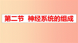 廣東省河源市七年級(jí)生物下冊(cè) 4.6.2 神經(jīng)系統(tǒng)的組成課件 新人教版.ppt