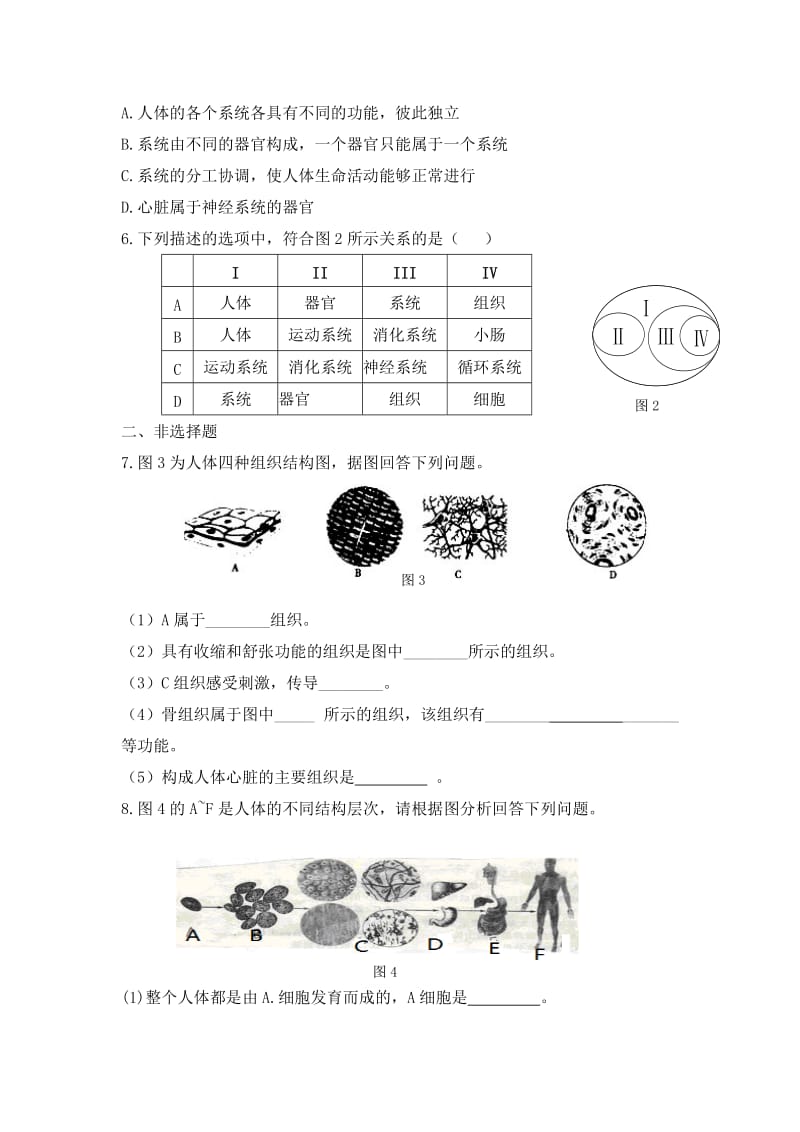 2019-2020年七年级人教版生物上册课时作业：2.2.2动物体的结构层次.doc_第2页