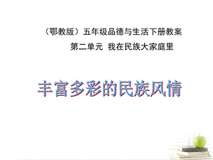 品德與社會(huì)下冊豐富多彩的民族風(fēng)情1課件鄂教.ppt