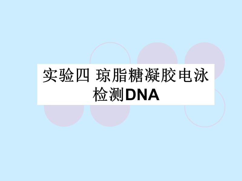 实验4-琼脂糖凝胶电泳检测DNA.ppt_第1页