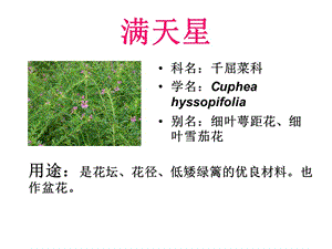 南方常見園林植物識別(20種有圖).ppt