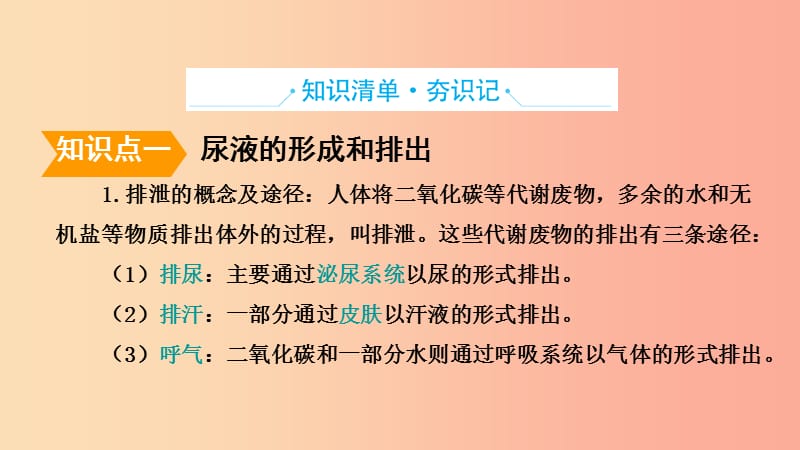 山东省2019年中考生物主题复习九人体内代谢废物的排出课件济南版.ppt_第2页