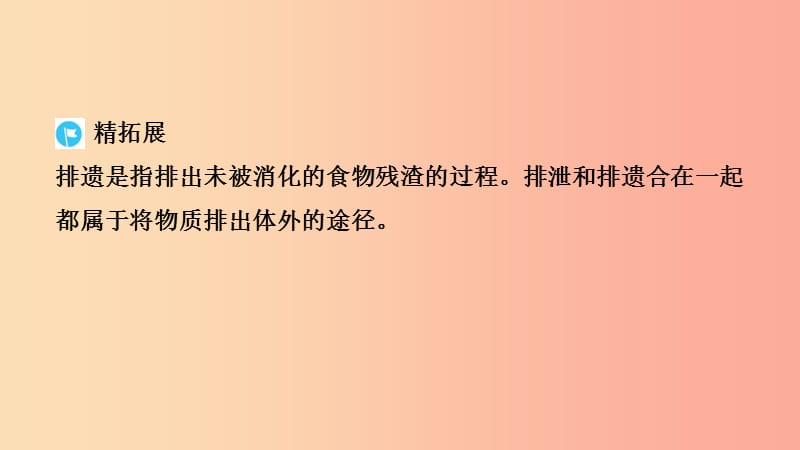 山东省2019年中考生物主题复习九人体内代谢废物的排出课件济南版.ppt_第3页