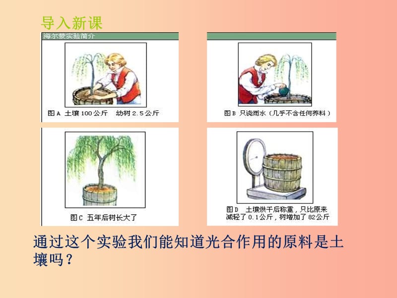 山东省七年级生物上册 2.1.3《绿色植物的光合作用》（第2课时）课件（新版）济南版.ppt_第3页
