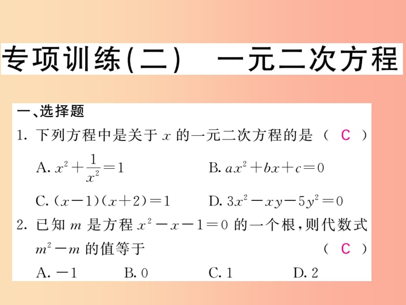 九年级数学下册专项训练二一元二次方程习题课件新版湘教版.ppt_第1页