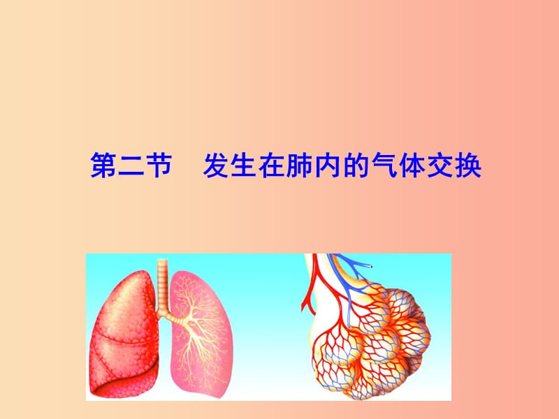 七年级生物下册 第四单元 生物圈中的人 第三章 人体的呼吸 第二节 发生在肺内的气体交换教学 新人教版.ppt_第1页