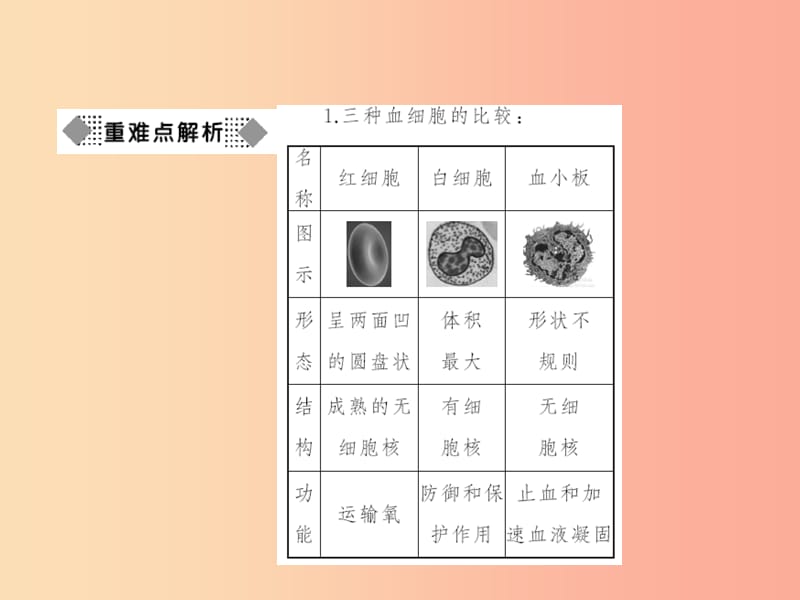 七年级生物下册第四单元第四章第一节流动的组织__血液习题课件 新人教版.ppt_第3页