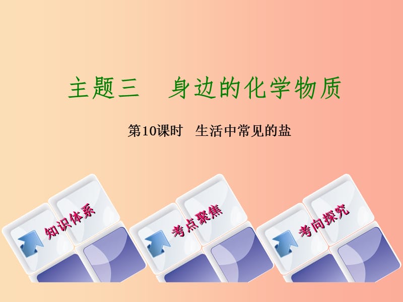 北京市2019年中考化学基础复习方案 主题三 身边的化学物质 第10课时 生活中常见的盐课件.ppt_第1页