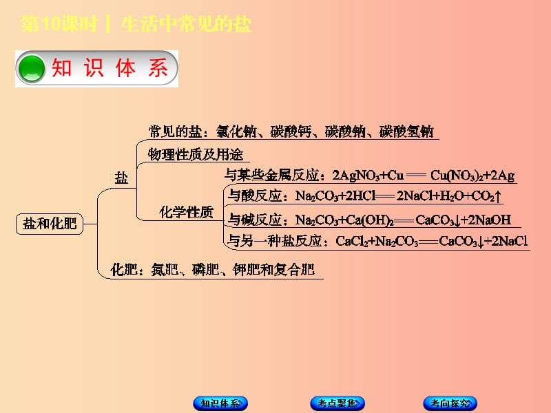 北京市2019年中考化学基础复习方案 主题三 身边的化学物质 第10课时 生活中常见的盐课件.ppt_第2页