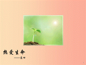 2019年九年級(jí)語文上冊(cè) 第9課《短文二篇 熱愛生命》課件 長(zhǎng)春版.ppt