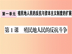 九年級歷史下冊 第一單元 殖民地人民的反抗與資本主義制度的擴展 第1課 殖民地人民的反抗斗爭習(xí)題.ppt