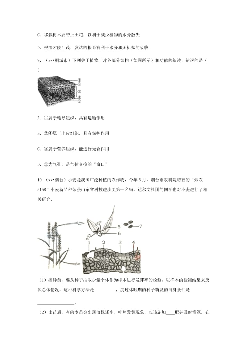 2019-2020年中考生物复习 第四单元 第二节 绿色植物的生活需要水和无机盐特色训练.doc_第3页