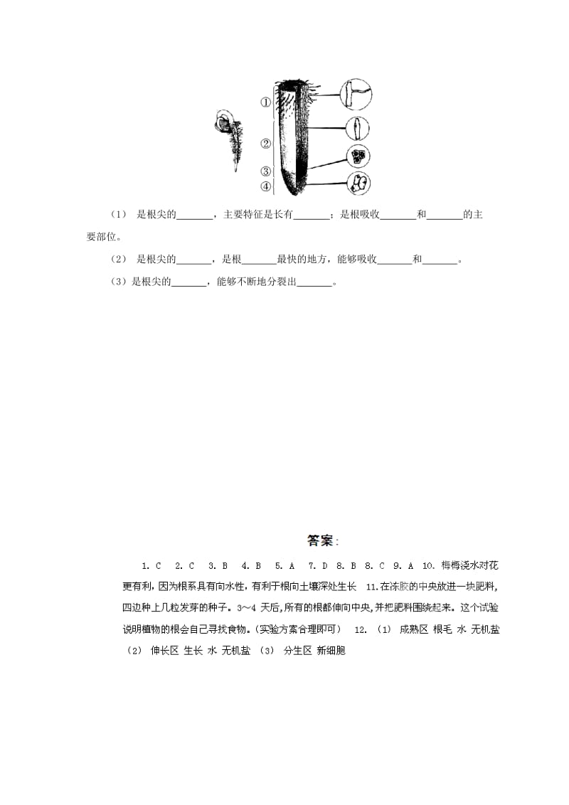 2019-2020年七年级生物上册3.5.2《植物根的生长》课时训练（新版）苏教版.doc_第3页