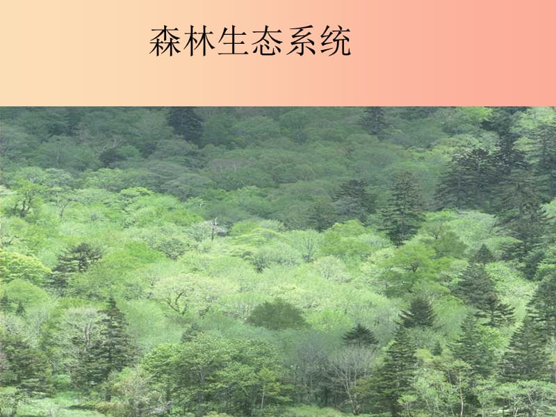 安徽省七年级生物上册 1.2.3《生物圈是最大的生态系统》课件2 新人教版.ppt_第3页