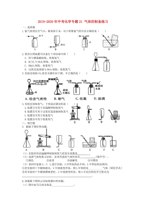 2019-2020年中考化學(xué)專(zhuān)題21 氣體的制備練習(xí).doc