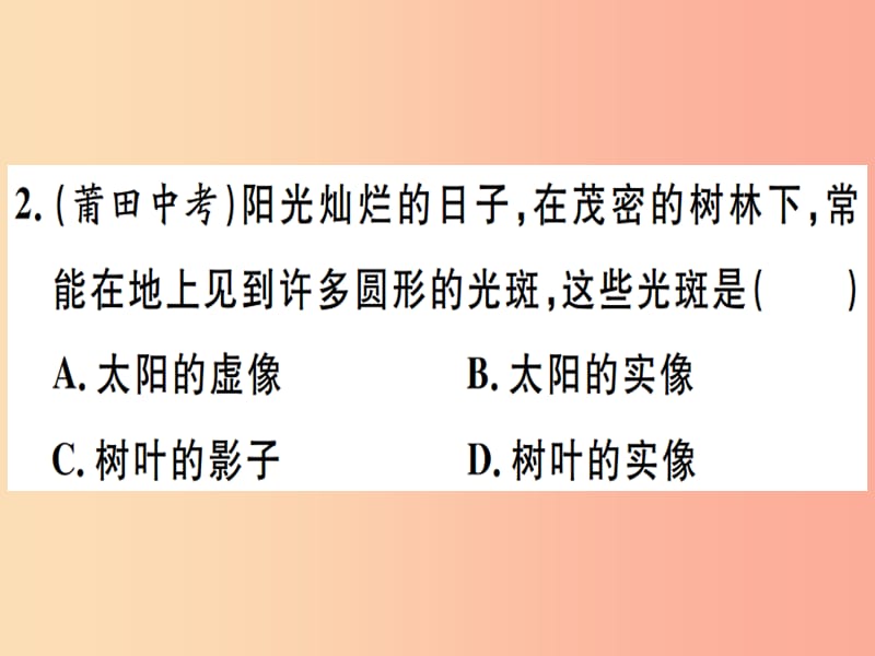 2019春九年级物理全册 复习基础训练 第二单元 光现象 第1讲 光现象习题课件（新版）沪科版.ppt_第2页