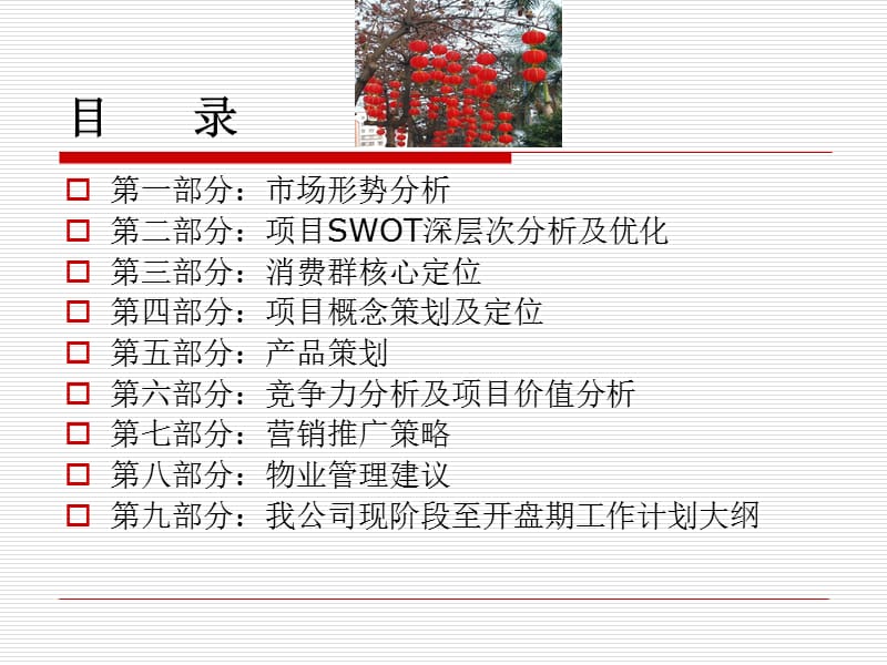 巴塞罗那项目2营销策划全案(新加内容)ppt定.ppt_第2页