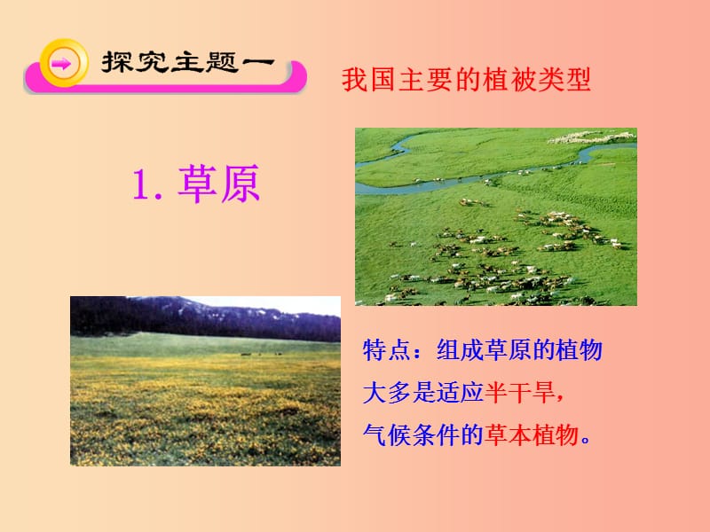 七年级生物上册 第三单元 第六章 爱护植被绿化祖国课件 新人教版.ppt_第3页