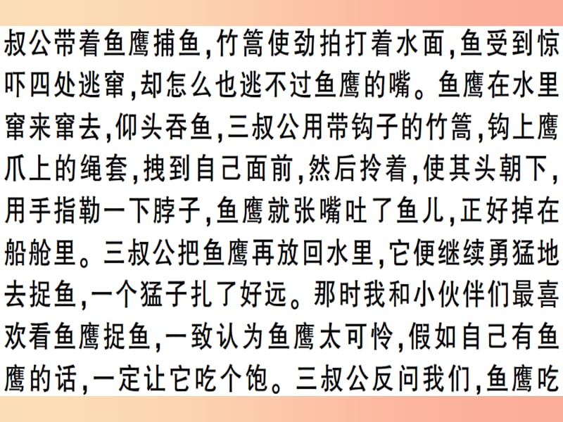 安徽专版2019春八年级语文下册专题复习六记叙文阅读习题课件新人教版.ppt_第3页