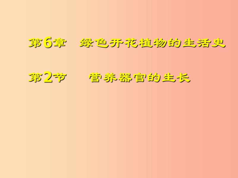 七年级生物上册3.6.2营养器官的生长课件3新版北师大版.ppt_第1页