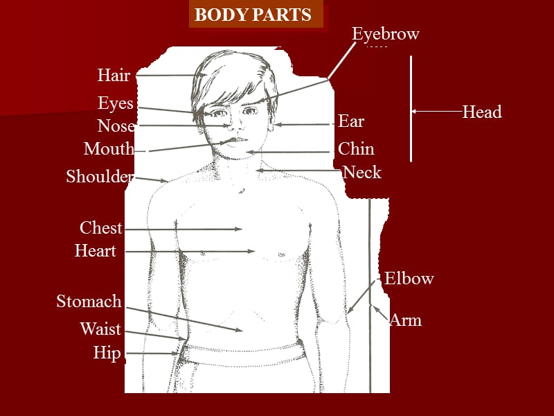 GoingtotheDoctor看医生的英语表达.ppt_第1页