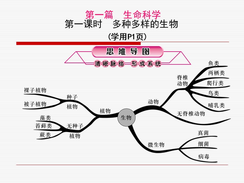 《励耘新中考》第1课时多种多样的生物共.ppt_第1页