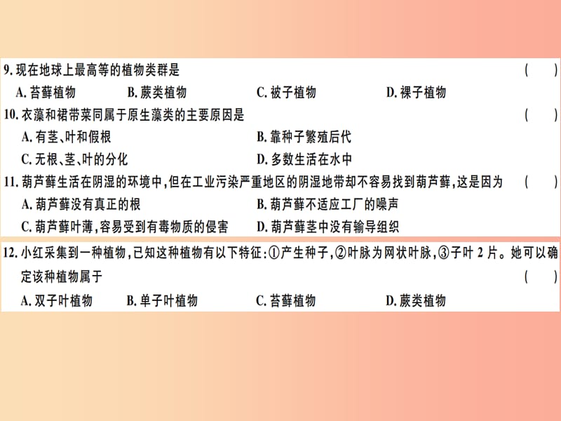 2019春八年级生物下册 第7单元 第22章 物种的多样性检测卷课件（新版）北师大版.ppt_第3页