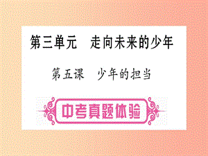 2019年中考道德與法治總復習 第1篇 真題體驗 滿分演練九下 第3單元 走向未來的少年 第5課 少年的擔當課件.ppt