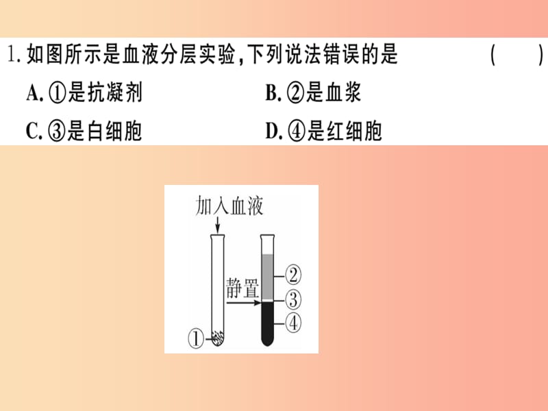 2019七年级生物下册第四单元第四章人体内物质的运输检测卷课件 新人教版.ppt_第2页