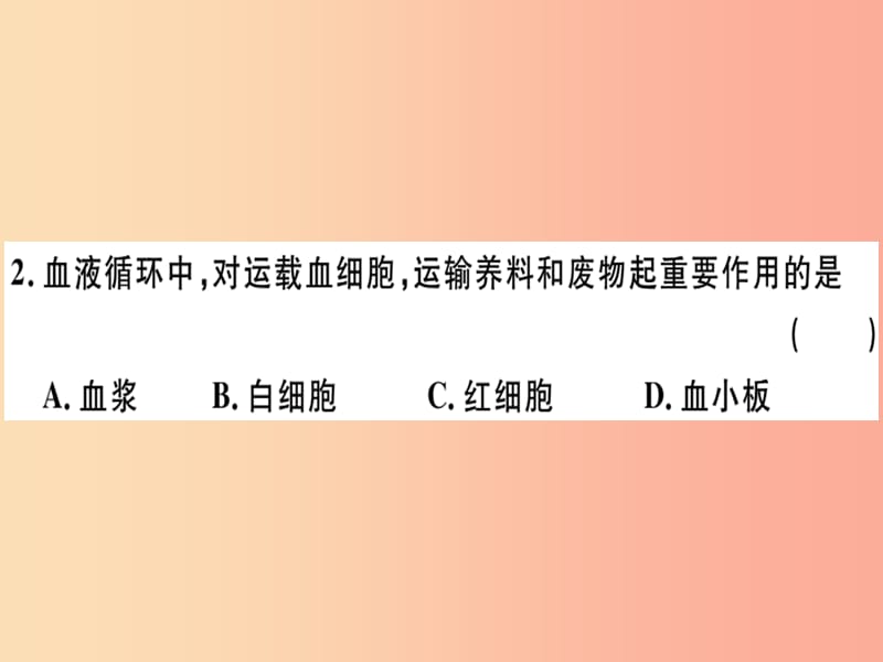 2019七年级生物下册第四单元第四章人体内物质的运输检测卷课件 新人教版.ppt_第3页