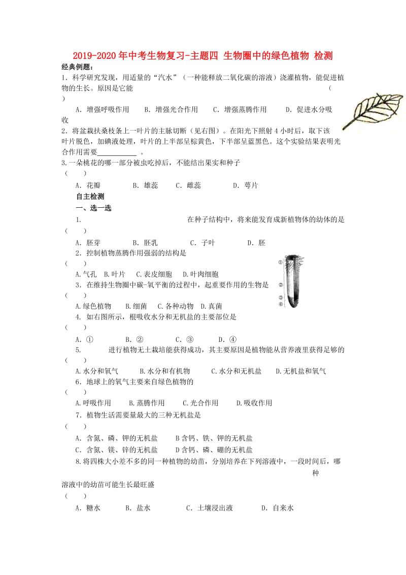 2019-2020年中考生物复习-主题四 生物圈中的绿色植物 检测.doc_第1页