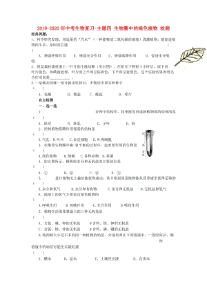 2019-2020年中考生物復習-主題四 生物圈中的綠色植物 檢測.doc