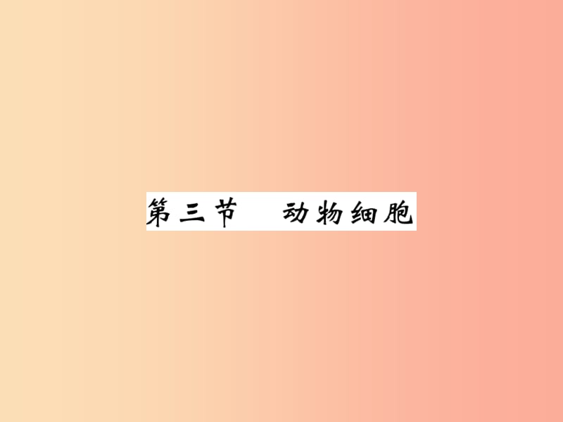 2019年七年级生物上册第2单元第1章第三节动物细胞习题课件 新人教版.ppt_第1页