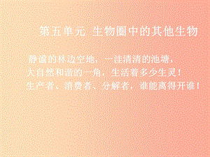 吉林省八年級生物上冊5.1.1腔腸動物和扁形動物課件 新人教版.ppt