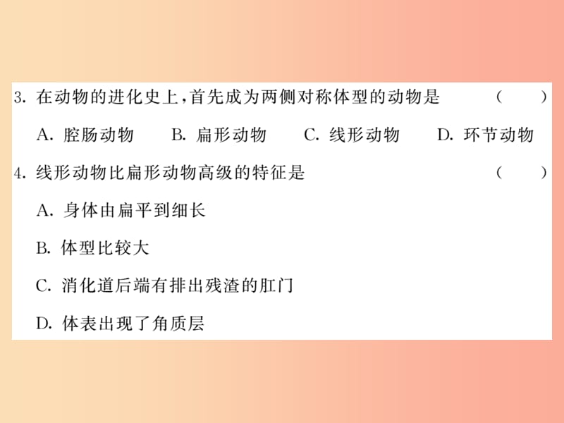 2019年八年级生物上册 第五单元 第一章 动物的主要类群综合检测习题课件 新人教版.ppt_第3页