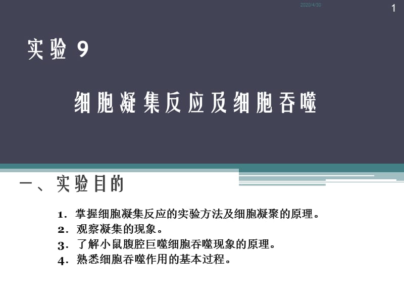 实验9细胞凝集反应及细胞吞噬.ppt_第1页