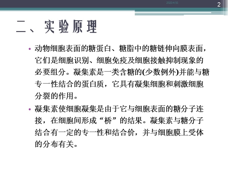 实验9细胞凝集反应及细胞吞噬.ppt_第2页