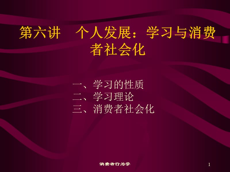 个人发展：学习与消费者社会化.ppt_第1页