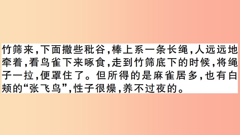 安徽专版2019年七年级语文上册第三单元9从百草园到三味书屋习题讲评课件新人教版.ppt_第3页