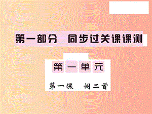 2019秋九年級語文上冊 第一單元 1 詞二首習題課件 語文版.ppt