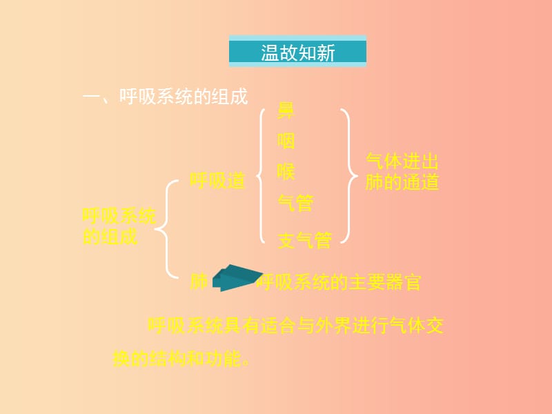 七年级生物下册4.3.2发生在肺内的气体交换第一课时课件 新人教版.ppt_第2页