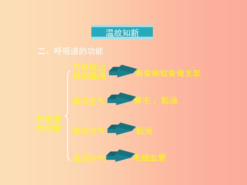 七年级生物下册4.3.2发生在肺内的气体交换第一课时课件 新人教版.ppt_第3页