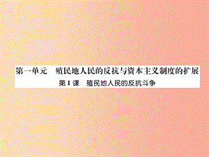 九年級歷史下冊 第1單元 殖民地人民的反抗與資本主義制度的拓展 第1課 殖民地人民的反抗斗爭易錯點撥.ppt