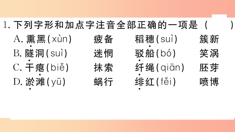 江西专用九年级语文下册第一单元1祖国啊我亲爱的祖国习题课件新人教版.ppt_第2页