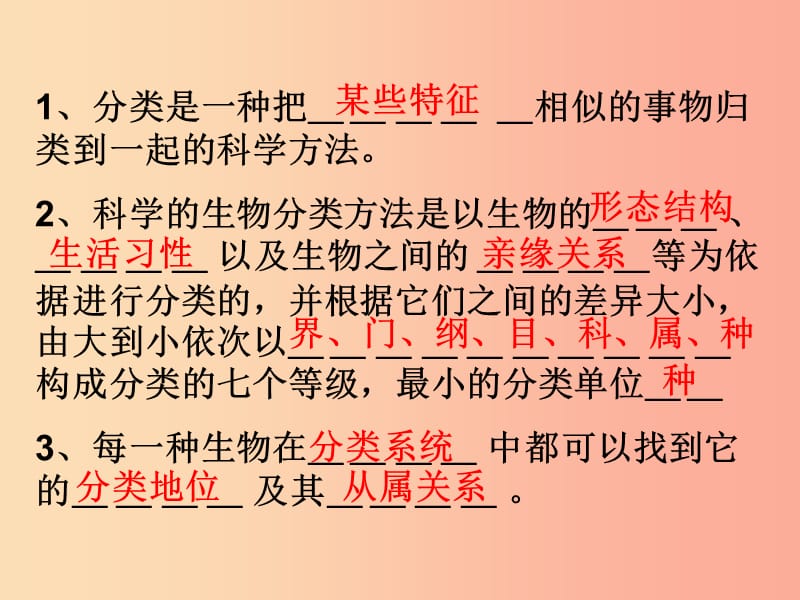 浙江省七年级科学上册 第2章 观察生物 第4-6节 复习课件（新版）浙教版.ppt_第2页